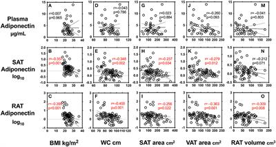 Levels of Adiponectin Expression in Peri-Renal and Subcutaneous Adipose Tissue and Its Determinants in Human Biopsied Samples